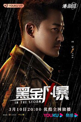 黑金风暴粤语 第11集